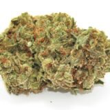 Lemon Skunk