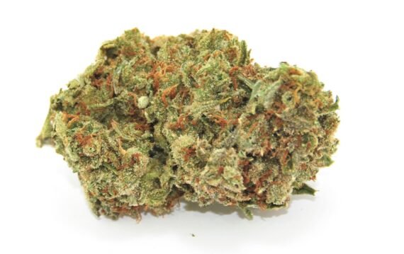 Lemon Skunk