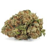 Pink Kush